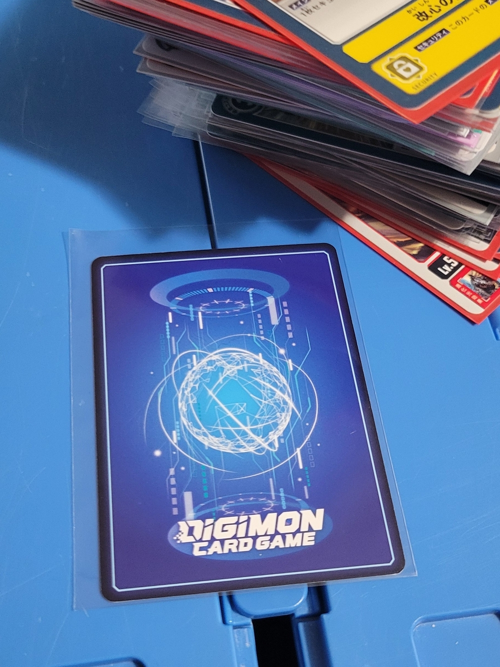 Digimon Card Lot (100 +)